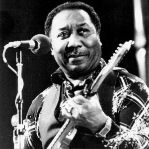 Muddy Waters